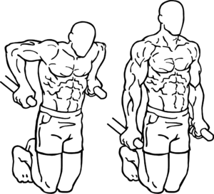 traction musculation pectoraux
