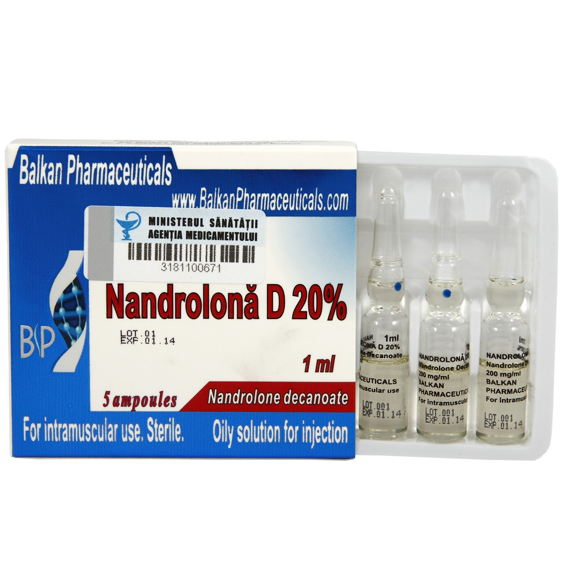 Nandrolone D