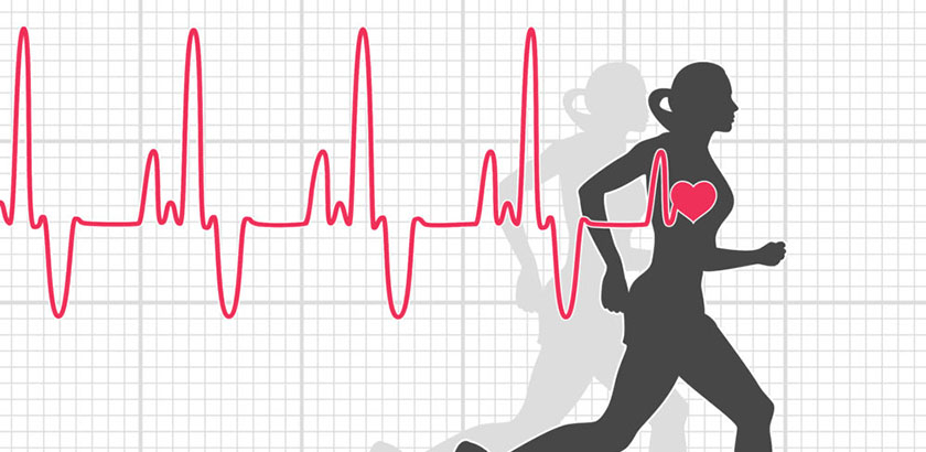 fréquence cardiaque max perte de poids
