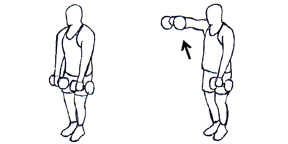 programme musculation epaule