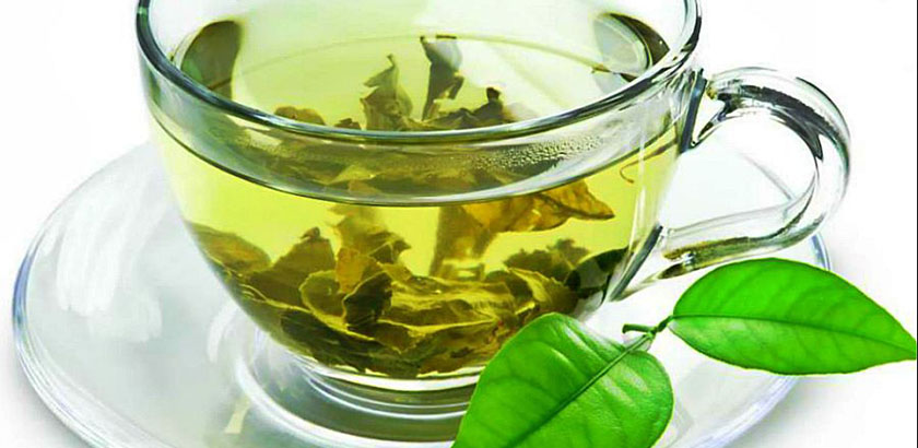 thé vert musculation