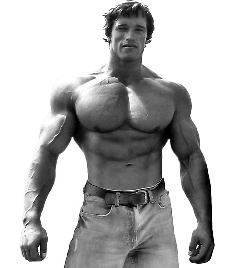 schwarzenegger